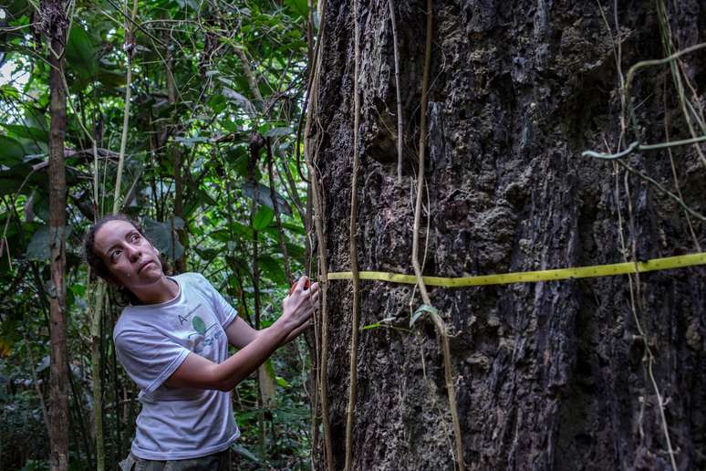 Bióloga estuda os impactos do fogo na Floresta Amazônica