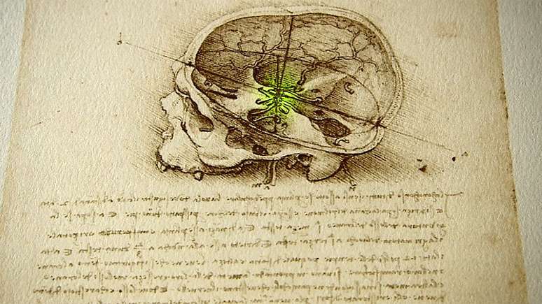 Da Vinci foi o primeiro artista a realizar uma autópsia humana completa, por isso seu conhecimento do funcionamento do corpo era muito superior ao de qualquer de seus contemporâneos