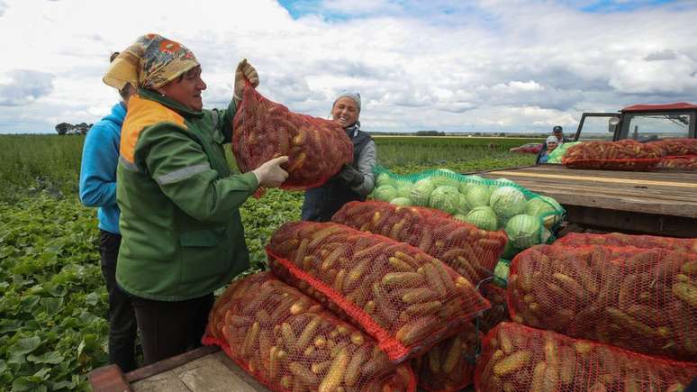 Maior parte das terras usadas para agricultura é propriedade do Estado e emprega quase 10% da população de Belarus