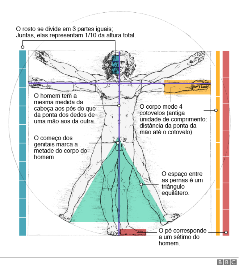 Gráfico sobre o Homem de Vitrúvio