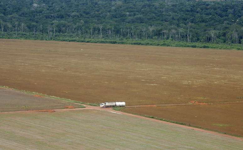 Fronteira entre área de cultivo de soja e a floresta amazônica em Mato Grosso 
25/02/2008
REUTERS/Paulo Whitaker