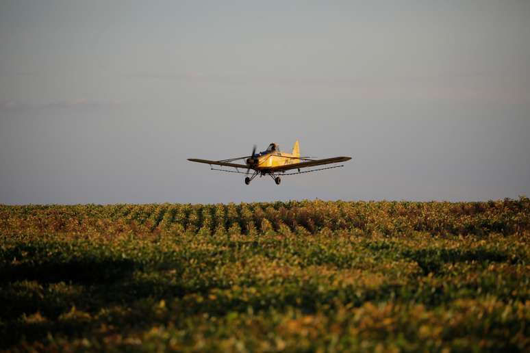 Cultivo de soja em Palmeirante (TO) 
16/02/2018
REUTERS/Ueslei Marcelino