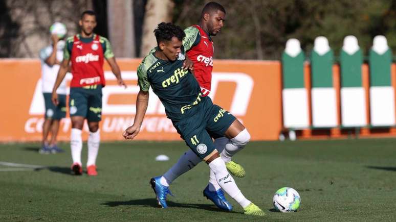 Veron tem 19 partidas como profissional e quatro gols marcados (Foto: Cesar Greco/Palmeiras)