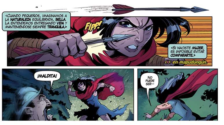 Talvez Janequeo j&aacute; fosse um soldado antes da morte do marido, por&eacute;m livros n&atilde;o contam sobre a vida dela antes da morte do companheiro