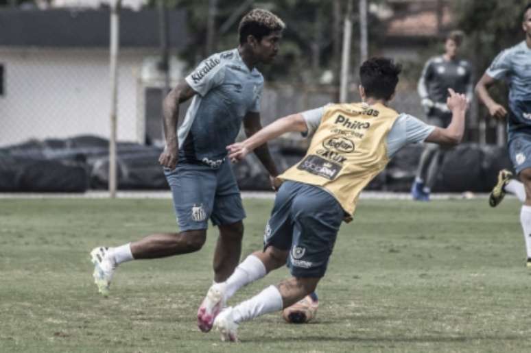 Raniel deve ficar fora por pelo menos dois meses (Foto: Ivan Storti/Santos FC)