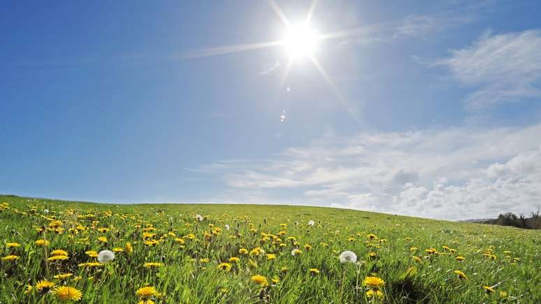 Os seres vivos precisam do calor do Sol para sobreviver