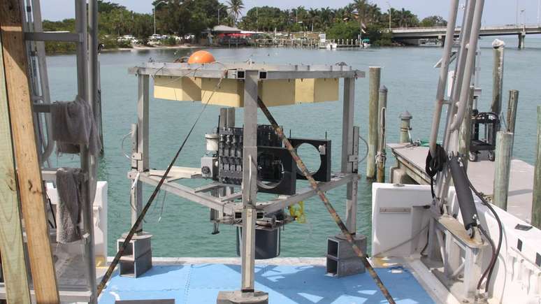 O "m&oacute;dulo de aterrissagem" foi criado por cientistas para conseguir descer at&eacute; o Green Banana