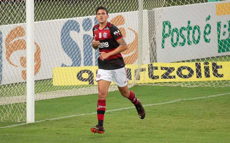 Pedro tem 16 gols na temporada (Foto: Alexandre Vidal / Flamengo)