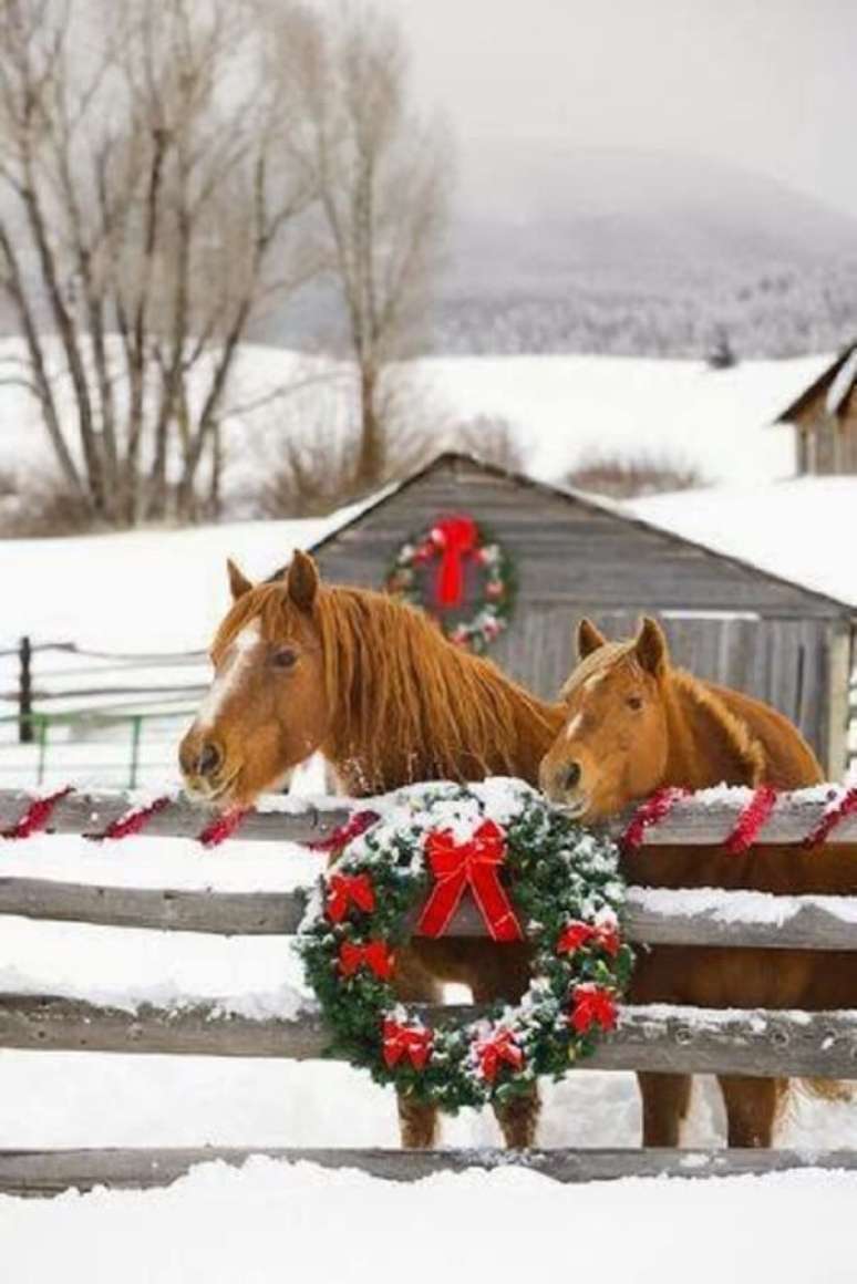 50. Se inspire nessa decoração de natal simples e barata para jardim. Fonte: Pinterest