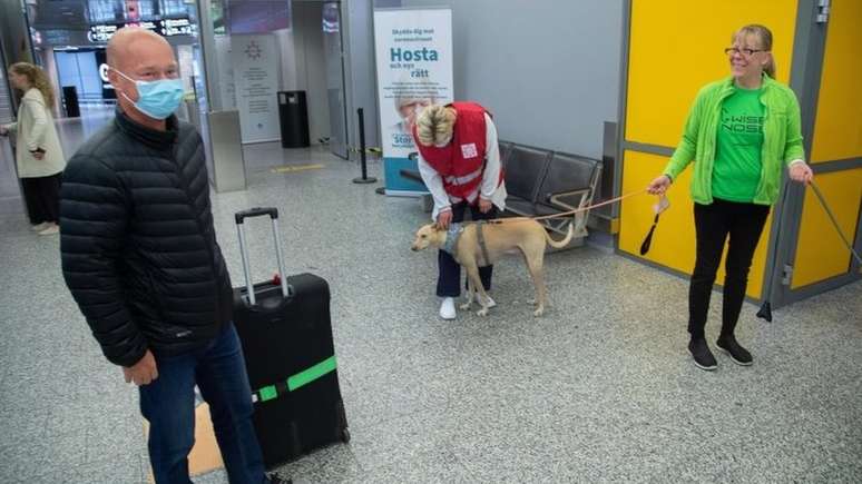 A Finlândia já está usando cães nos aeroportos
