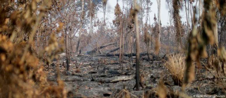 Queimada perto de Apui, no estado do Amazonas: destruição da floresta avança sob Bolsonaro