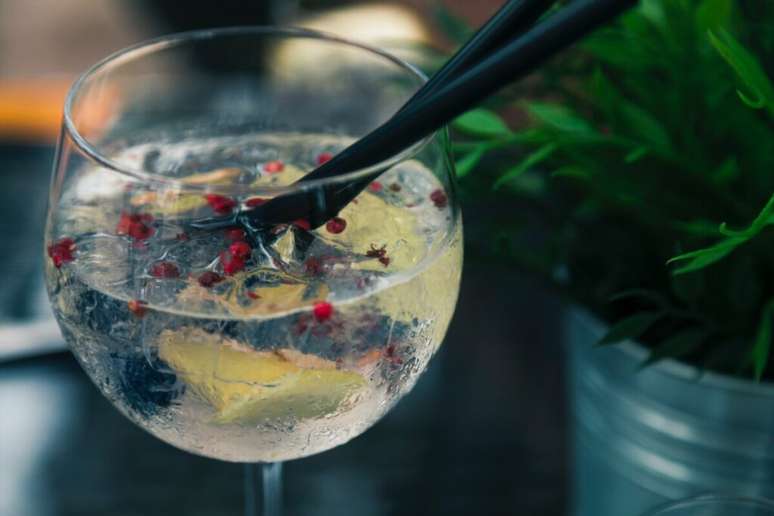 Guia da Cozinha - Drinks com Gin que s&atilde;o pura refresc&acirc;ncia