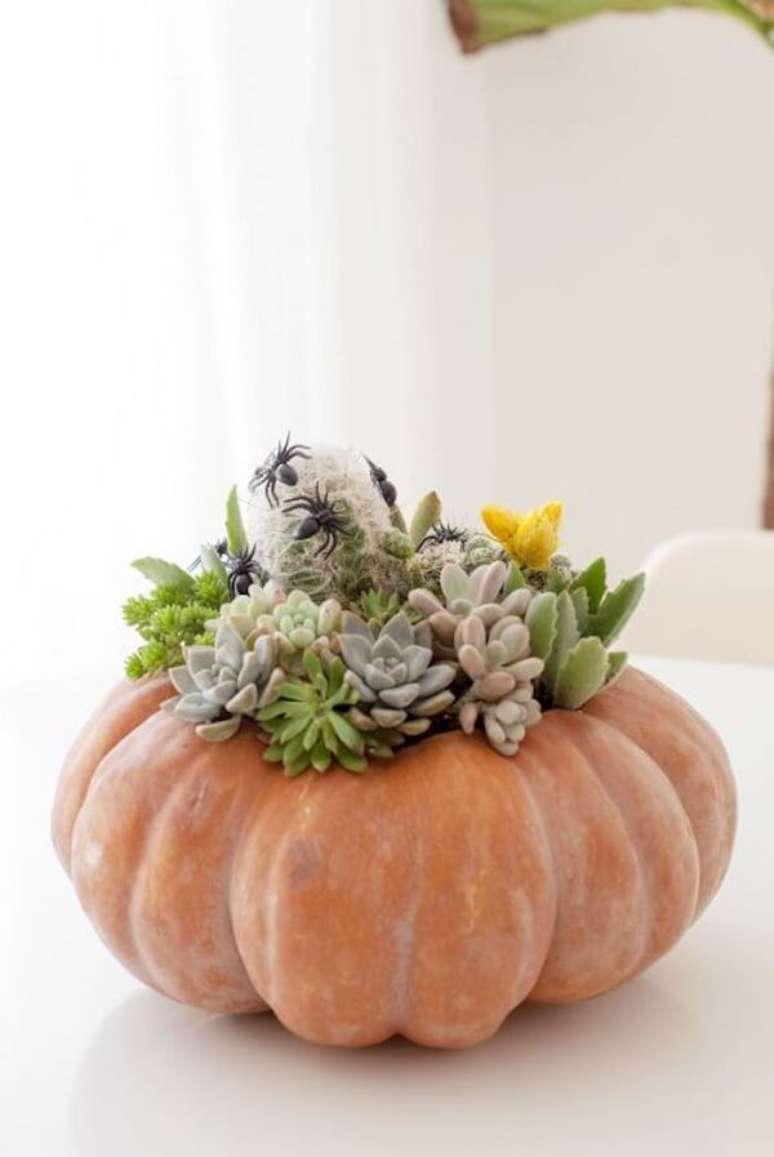 46. A abóbora de halloween foi usada como vaso para suculentas. Fonte: Oprah Magazine