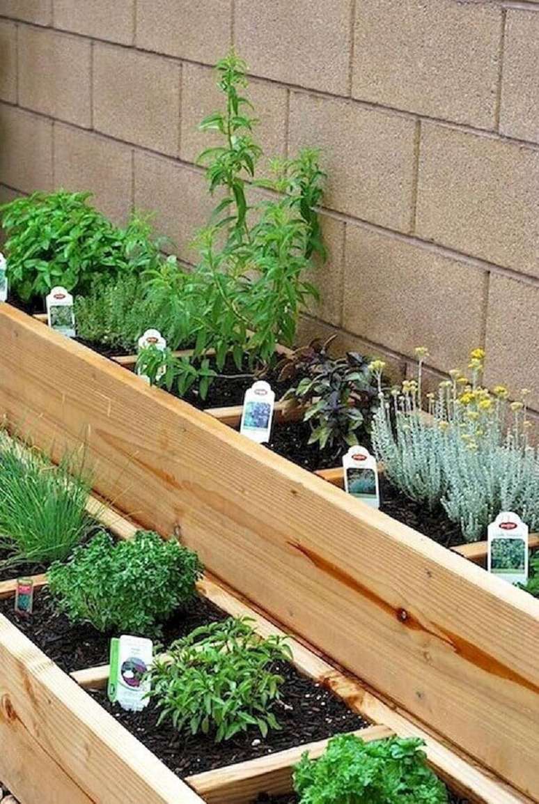 3. A horta orgânica pode trazer uma série de vantagens para o meio ambiente e para a saúde – Foto: Pinterest
