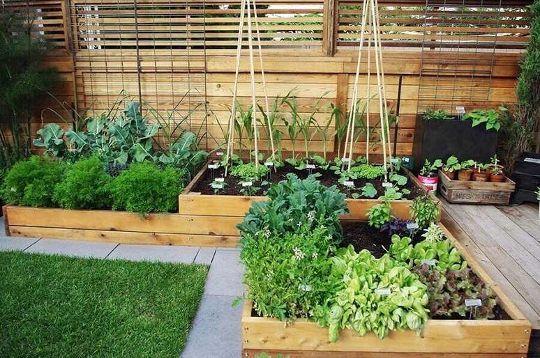 2. Se você quer ter uma alimentação mais saudável procure investir em uma horta orgânica em casa – Foto: Greenk