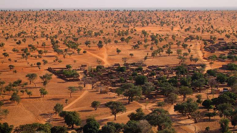 O Saara e o Sahel têm muito mais árvores do que se pensava