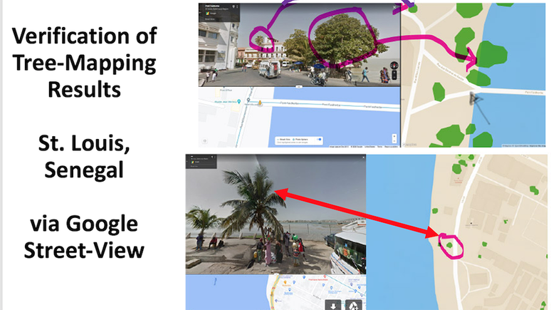 Os pesquisadores também usaram o Google Maps para verificar a presença de árvores em áreas povoadas da área estudada