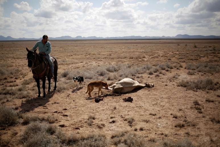 Pecuarista observa gado morto no México. REUTERS/Jose Luis Gonzalez