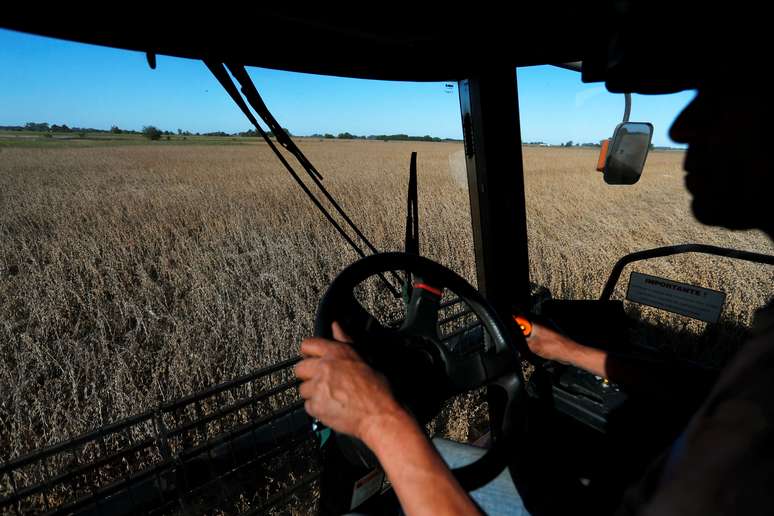 Colheita de trigo na região de Buenos Aires. REUTERS/Agustin Marcarian/File Photo
