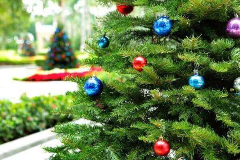 25- O pinheiro de natal natural pode ser encontrado em feiras ou gardens. Fonte: Pinterest