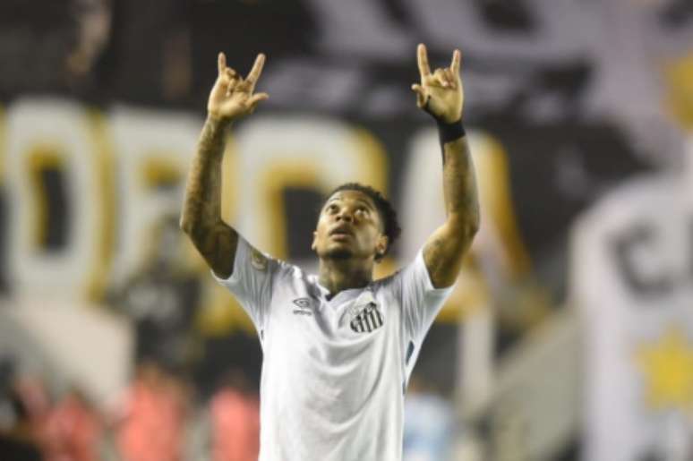 (Foto: Ivan Storti/Santos FC)