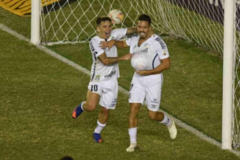 Santos pode ter Libertadores diferente em 2020 (Foto: Twitter/Santos)