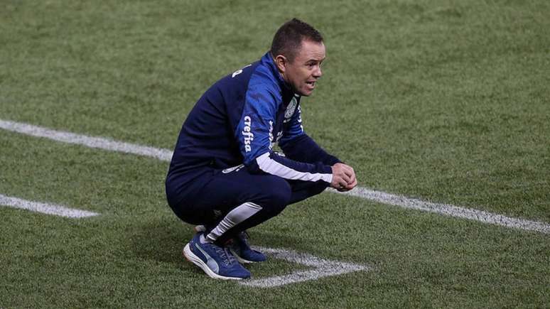 Andrey Lopes é o técnico interino da equipe palmeirense (Foto: César Greco/Ag. Palmeiras)