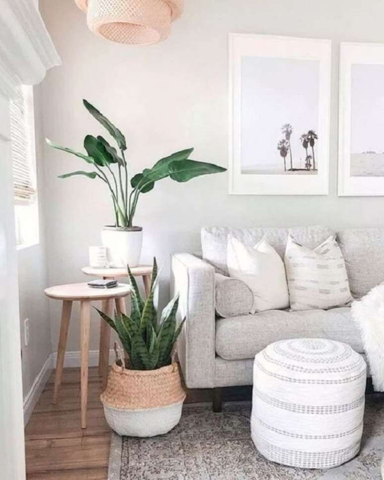 3. As plantas para apartamento trazem um toque de verde para sala de estar. Fonte: Pinterest