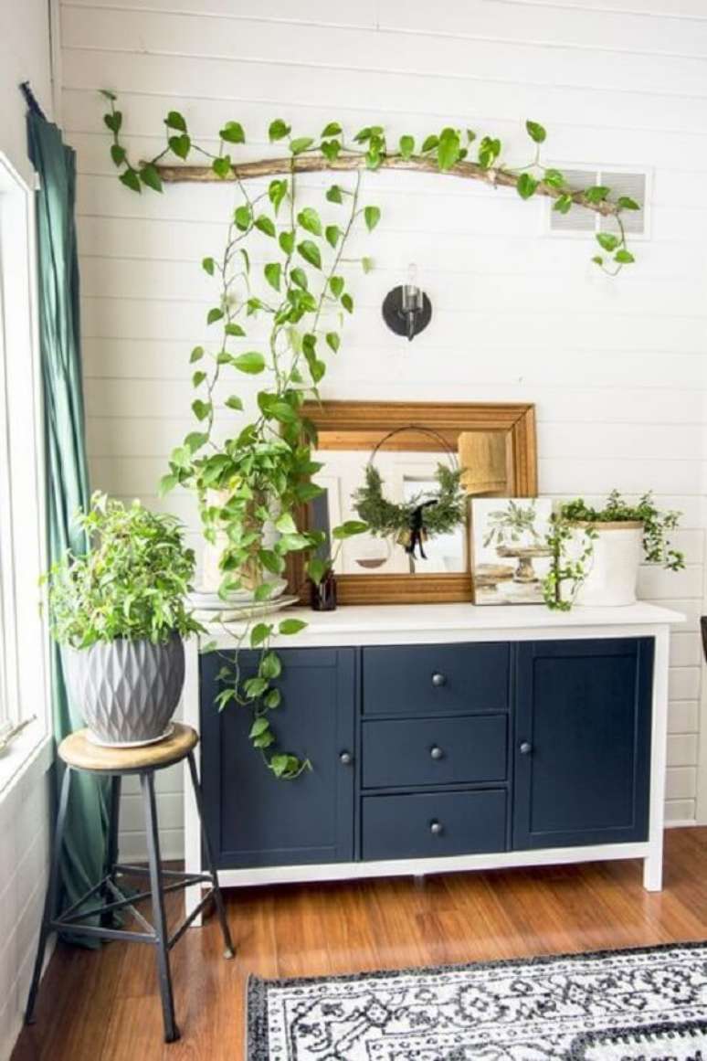 52. Escolha com aten&ccedil;&atilde;o as plantas para apartamento que ir&atilde;o fazer parte da sua decora&ccedil;&atilde;o. Fonte: Pinterest