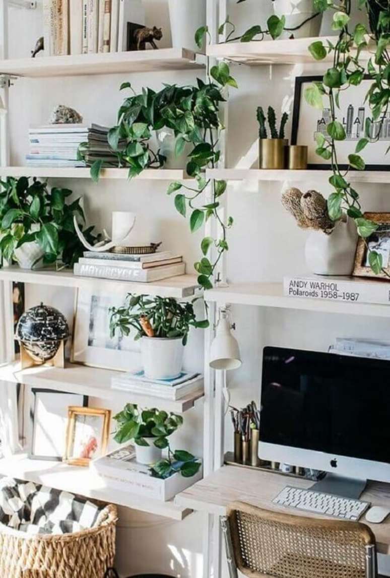 47. A jiboia é uma das plantas para apartamento que fica linda na prateleira. Fonte: Pinterest