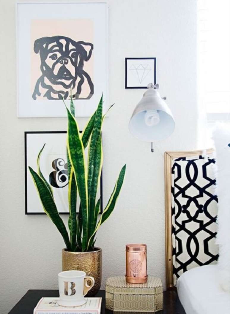 57. A Espada de S&atilde;o Jorge &eacute; uma das plantas para apartamento preferidas do p&uacute;blico. Fonte: Pinterest