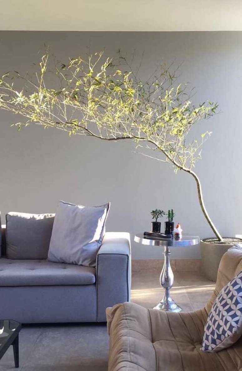 41. O Bambu Mossô é uma das plantas para apartamento que traz um efeito lindo na decoração. Fonte: Pinterest