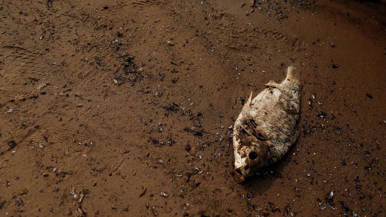 Eventos extremos se tornam mais frequentes com as mudan&ccedil;as clim&aacute;ticas