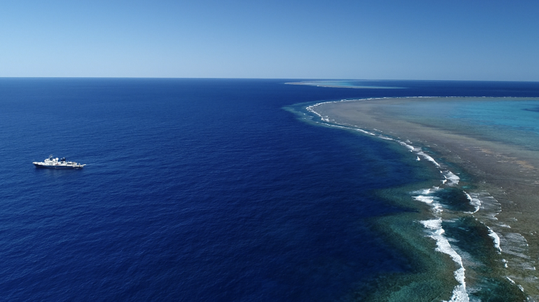 O novo recife foi encontrado perto do Cabo York, no extremo norte da Austr&aacute;lia