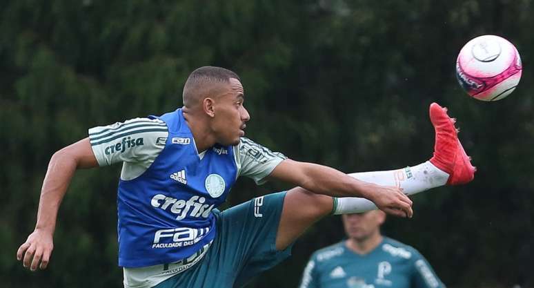 Papagaio cumpre suspensão por caso de doping de 2019 (Foto: Divulgação/Palmeiras)