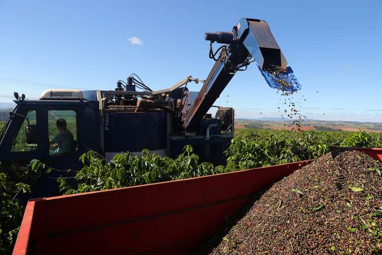 Colheita de caf&eacute; em S&atilde;o Jo&atilde;o da Boa Vista (SP) 
06/06/2019
REUTERS/Amanda Perobelli