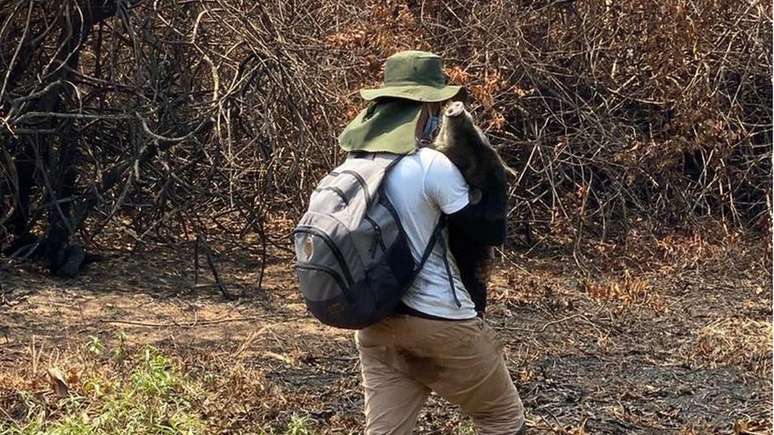 Benta sendo resgatada dos inc&ecirc;ndios