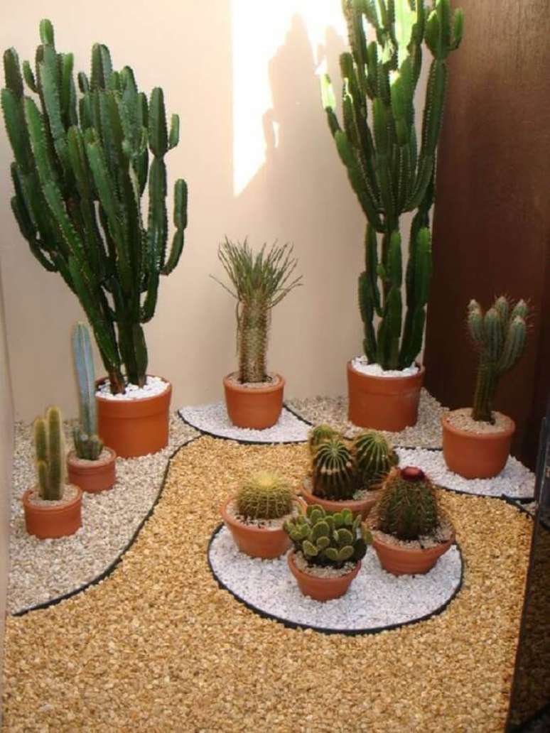 3. Cactos e suculentas são ótimas plantas para varanda com sol – Foto: Muito Chique