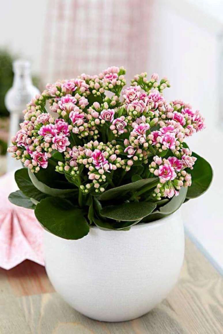 31. Vaso flor da fortuna branco e delicado – Via: Pinterest