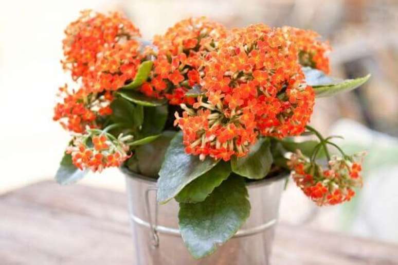 32. Decora&ccedil;&atilde;o com vaso de flor da fortuna laranja, a famosa flor kalanchoe &ndash; Via: Construindo Decor