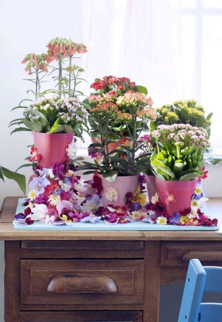 10. Decoração rustica com vasos de flor da fortuna de todas as cores – Via: Pinterest