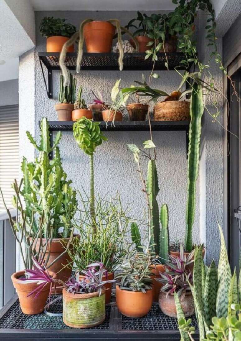 44. Decoração com prateleiras para plantas na varanda com estilo industrial – Foto: Histórias de Casa