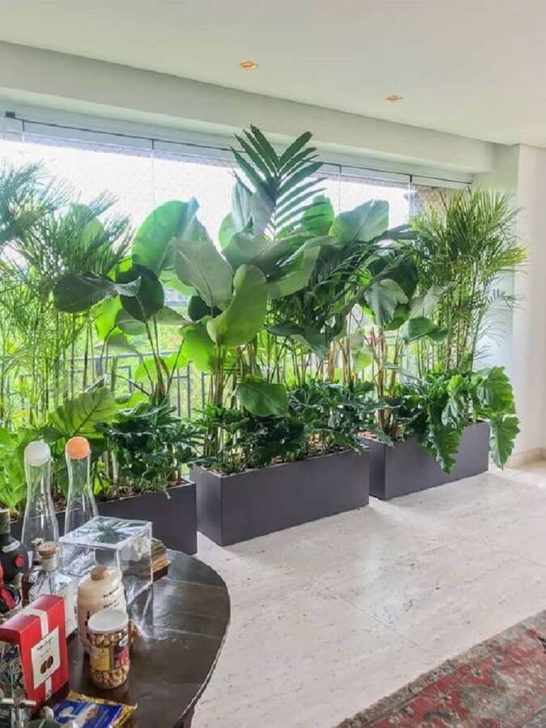 53. Decoração com grandes plantas para varanda de apartamento – Foto: Casa de Valentina