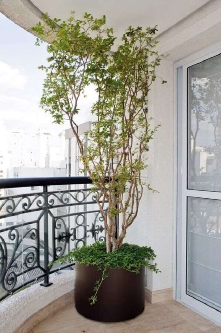 54. Vasos de plantas para varanda de apartamento grande – Foto: Simples Decoração