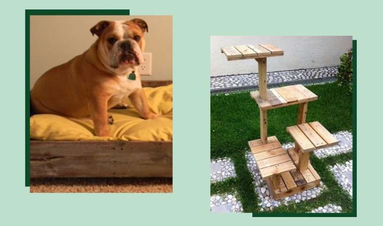 Fotos: Reprodu&ccedil;&atilde;o/Pinterest |