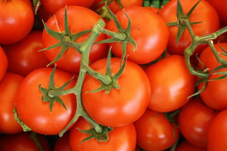 Guia da Cozinha - Olha o tomate! Conheça os tipos e usos na culinária