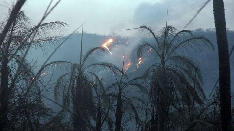 Especialistas consideram que somente chuvas intensas podem apagar completamente novos inc&ecirc;ndios no bioma