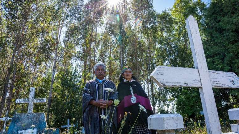 Os mapuches têm uma relação especial com as árvores e com a natureza