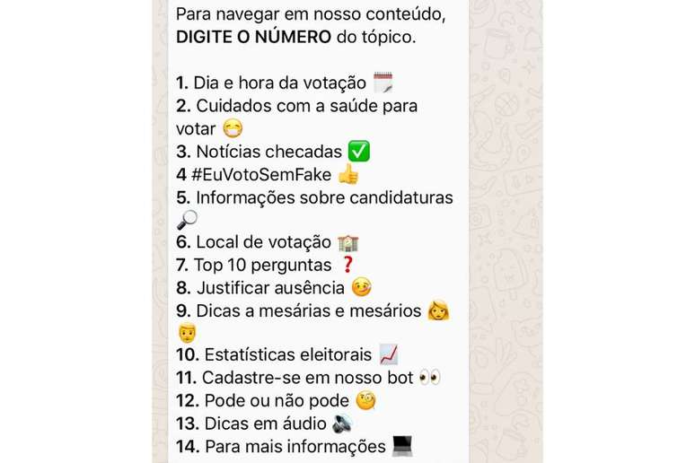 Lista de temas dispon&iacute;veis para consulta por meio do chatbot do TSE no WhatsApp.
