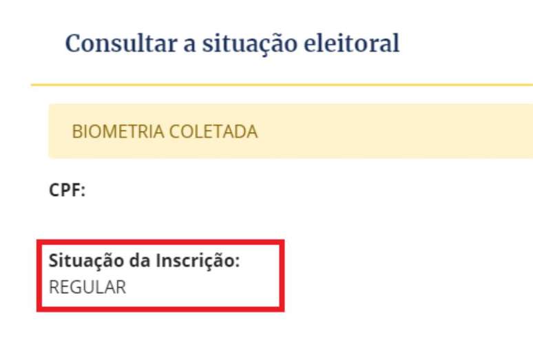 Janela com a situa&ccedil;&atilde;o do eleitor no site do TSE.
